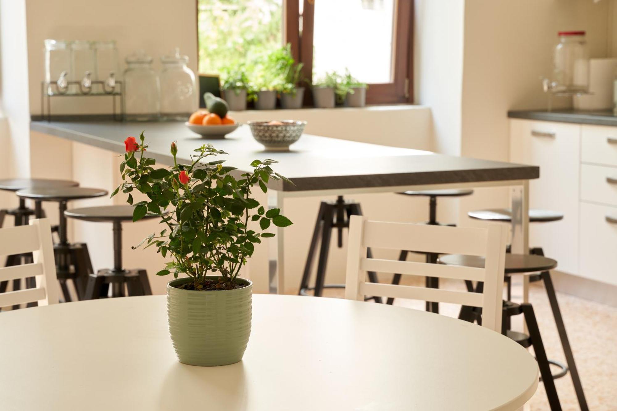 Hostel Hub Portanova Trani Zewnętrze zdjęcie